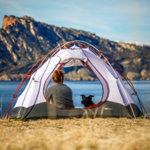 Tent | Additional Info and Tabs